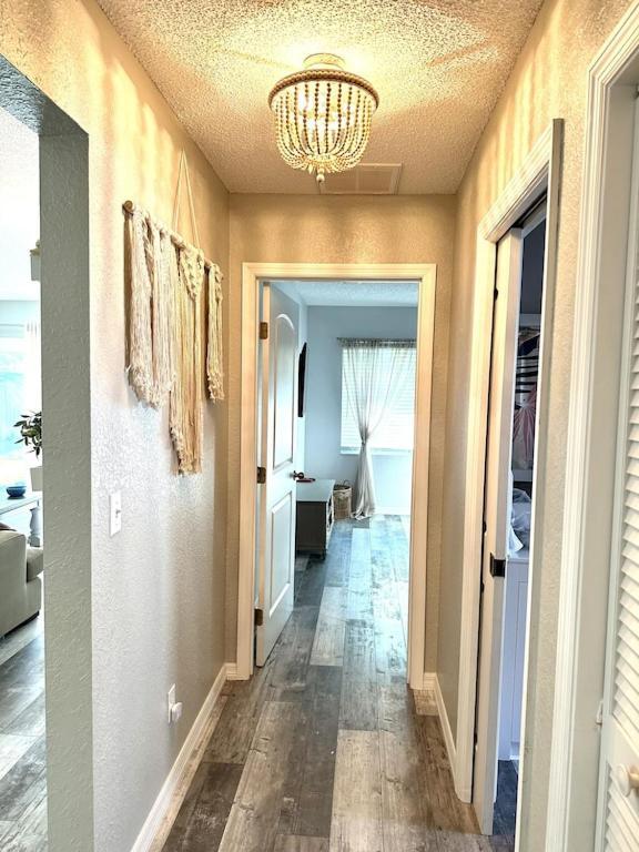 Villa Maria Salt Sun 7 Minutes To Indian Rocks Beach Largo Exterior photo